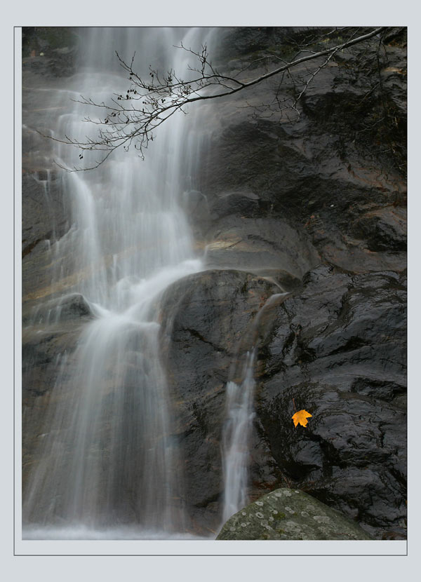 cascade.jpg
