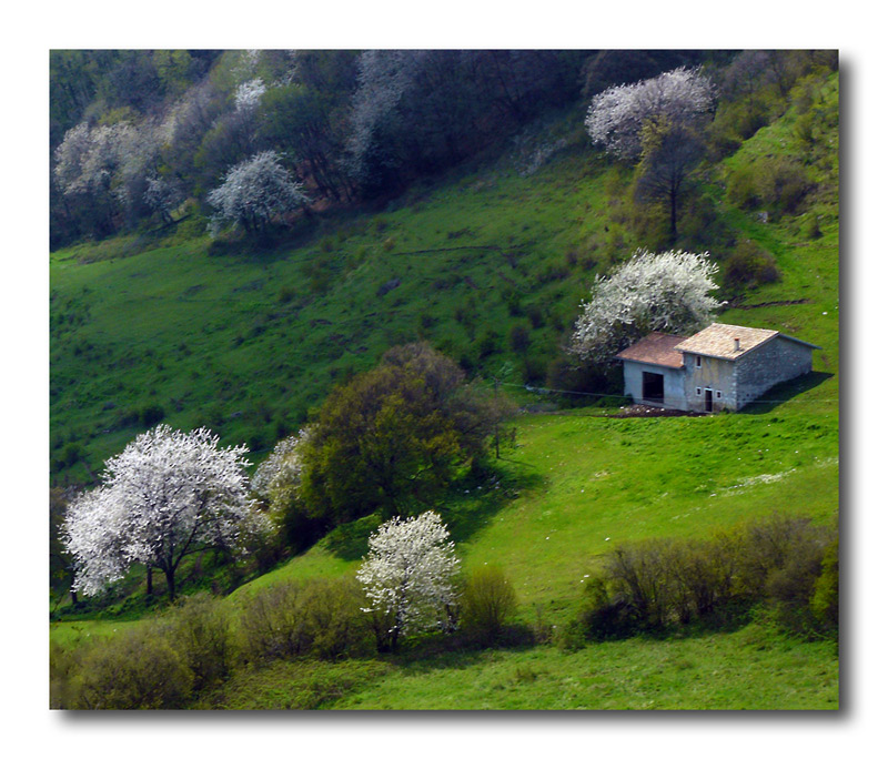 cascina-montagna.jpg