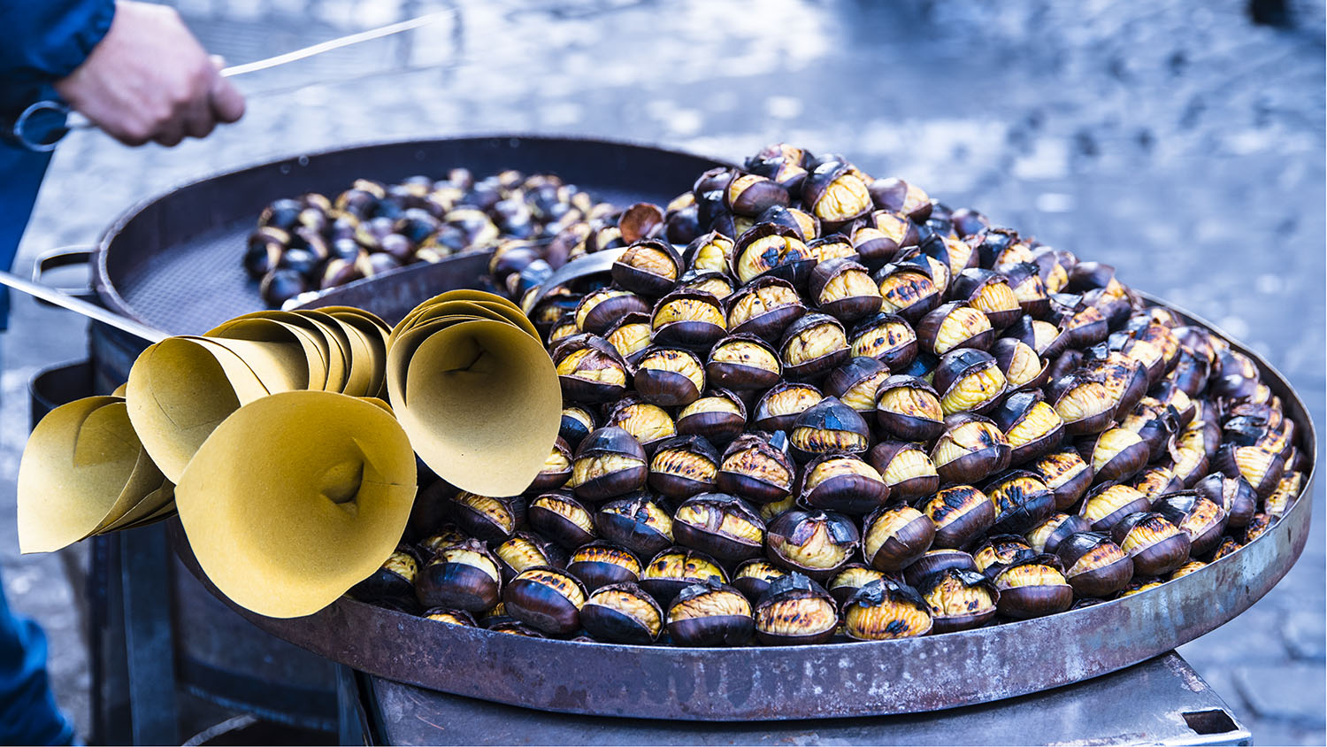 Castagne_s.jpg