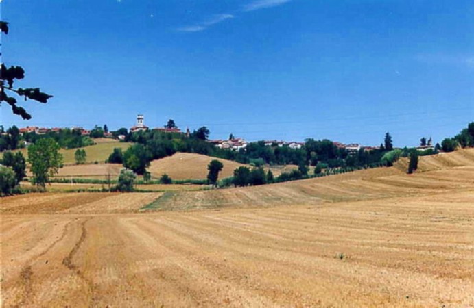 castelleto monferrato.jpg