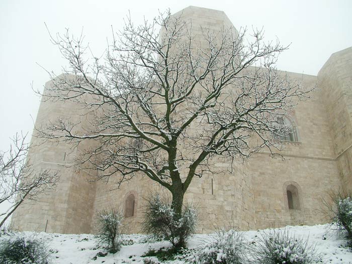 castello1.jpg