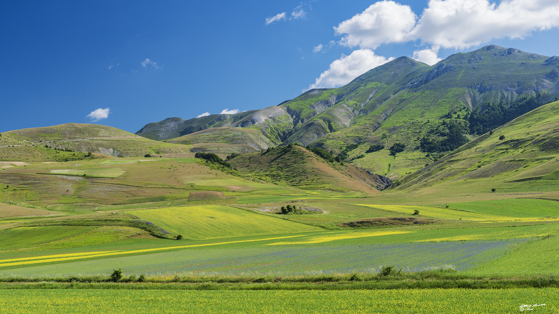 Castelluccio-061b.jpg