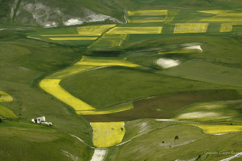 Castelluccio-di-Norcia---23.jpg