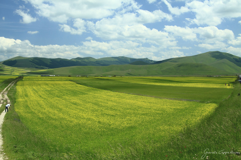 Castelluccio-di-Norcia---45.jpg