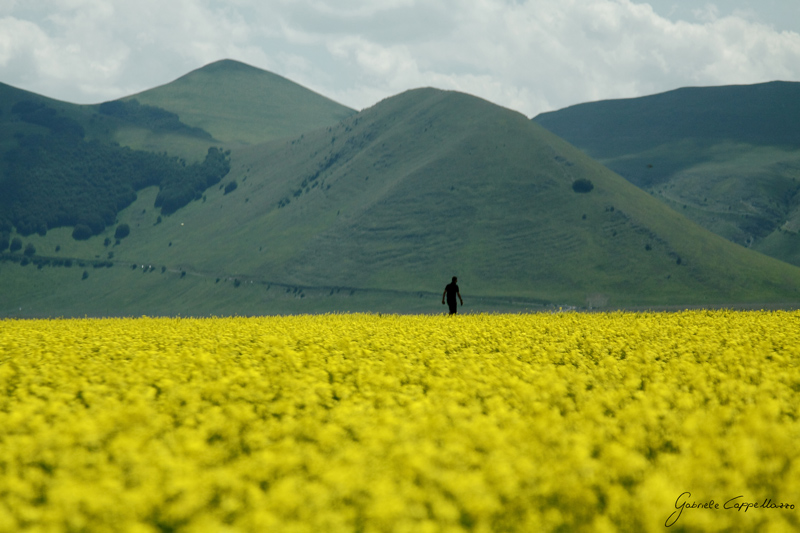 Castelluccio-di-Norcia---47.jpg