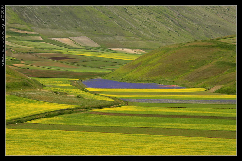 Castelluccio_002.jpg