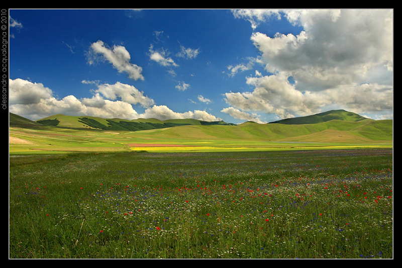 Castelluccio_007.jpg