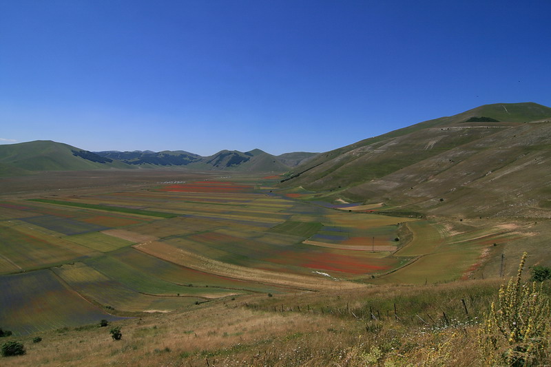 castelluccio_2010-07-18.jpg