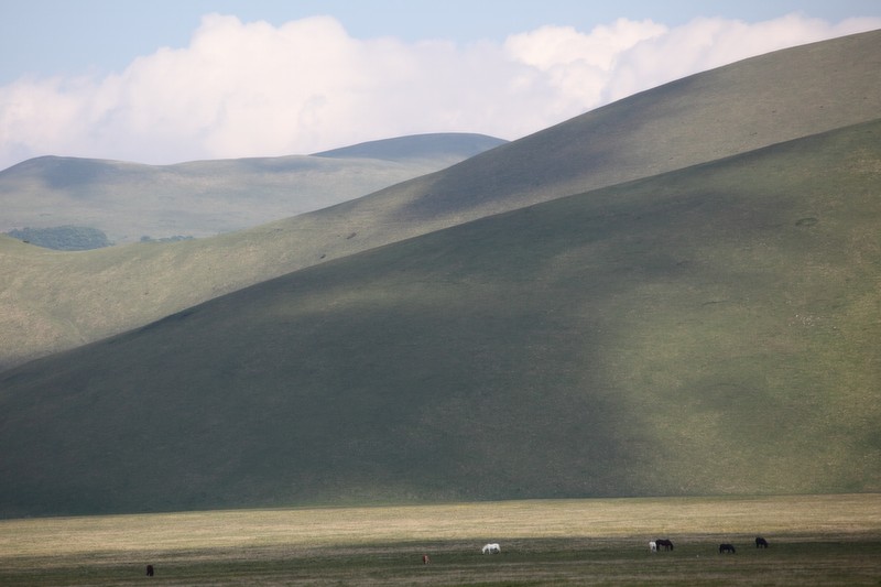 Castelluccio 29maggio2011 004.jpg