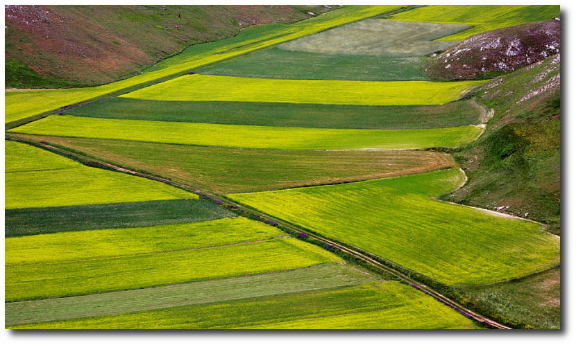 castelluccio.jpg