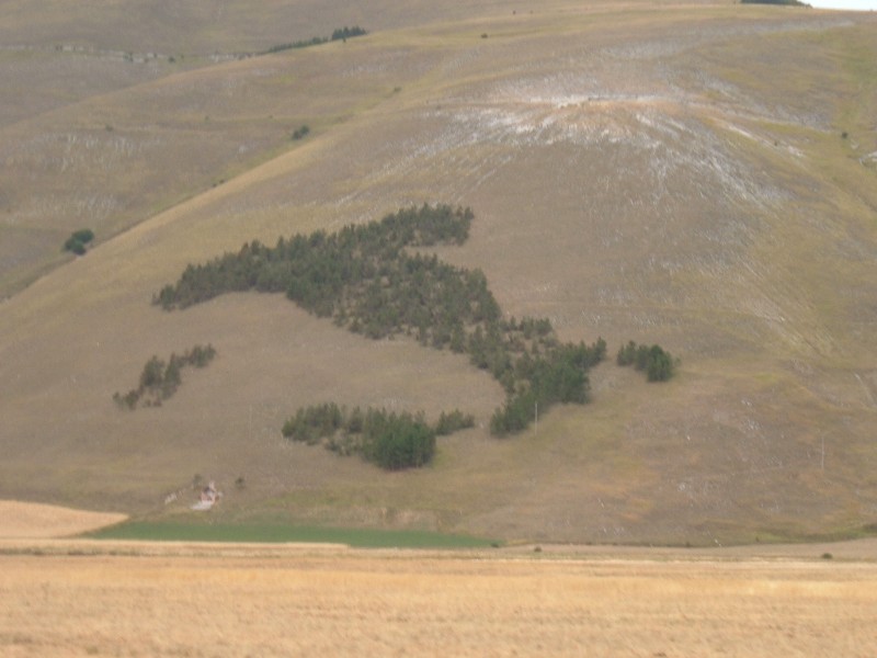 Castelluccio di Norcia (5).JPG
