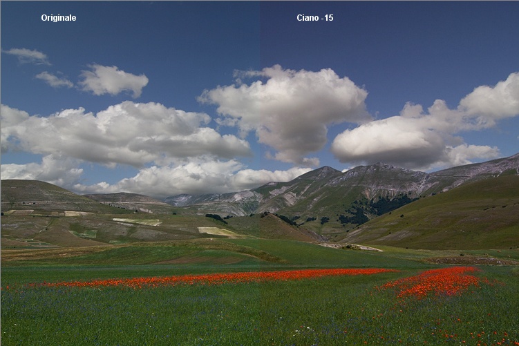 castelluccio_silvsrom.jpg