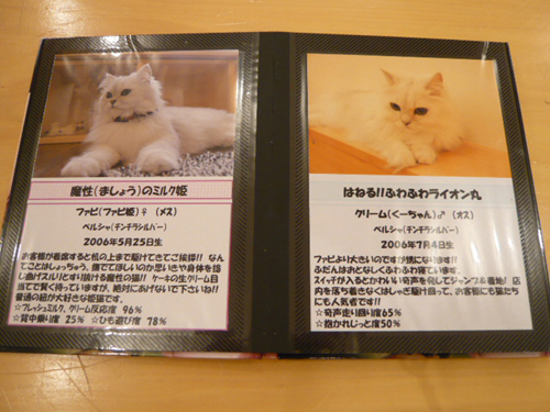 Cat_Neko_Menu[1].jpg