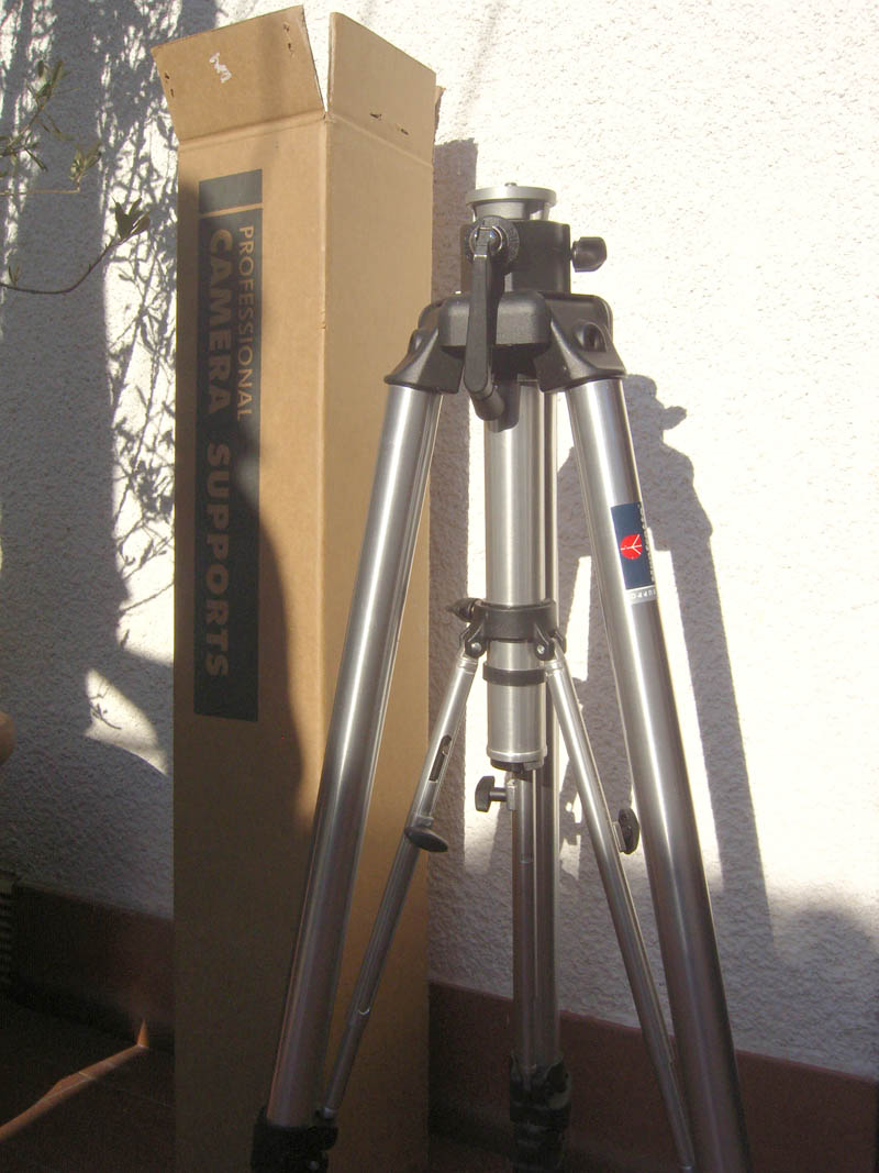 Caval B.JPG