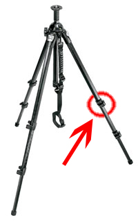 Cavalletto.jpg