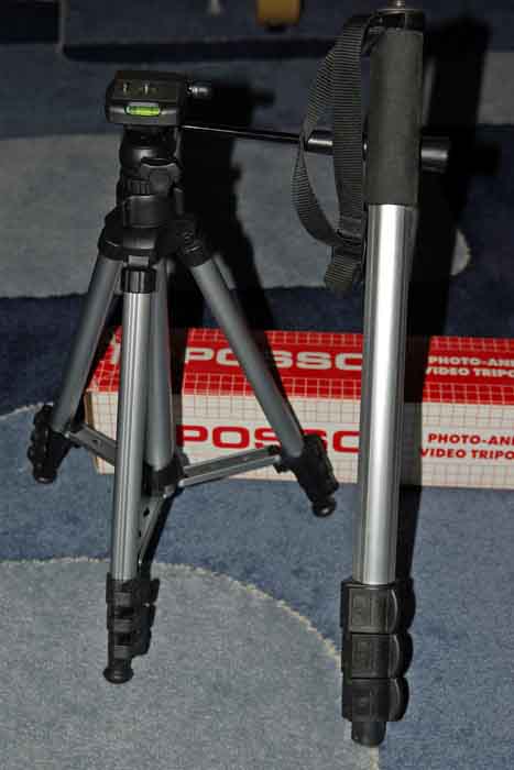 cavalletto + mono.jpg