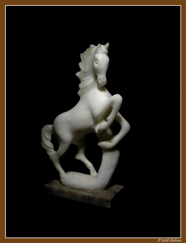 Cavallo-2.jpg