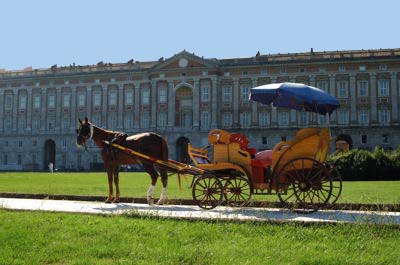 cavallo2.jpg