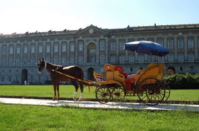 cavallo.jpg