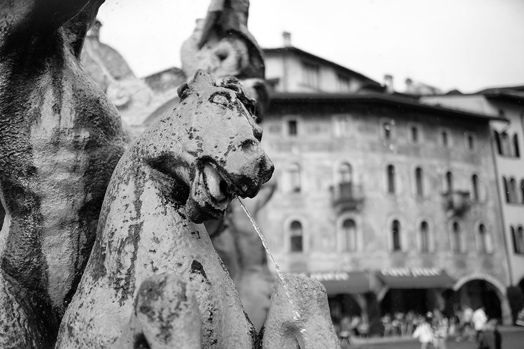 cavallo.jpg