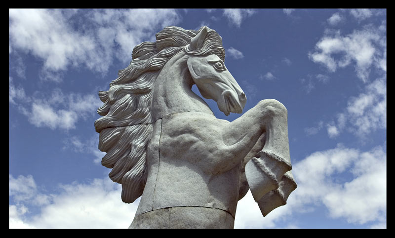 cavallo.jpg