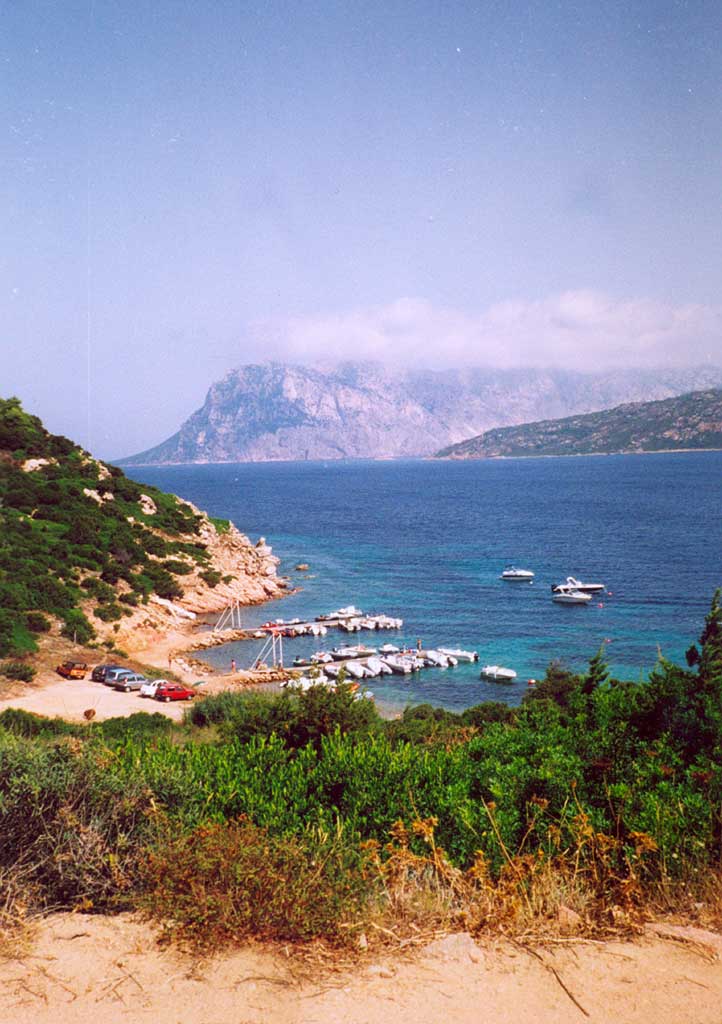 ccc1.jpg
