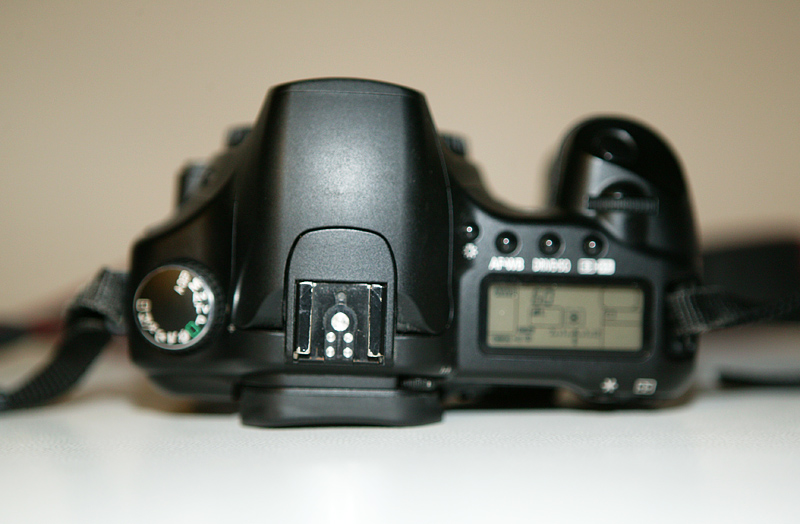 CD3T9466.JPG