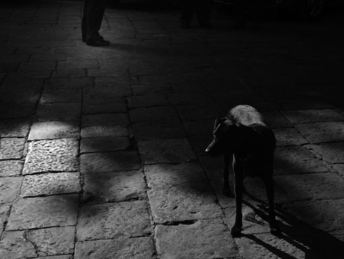 cecità bianco e nera.jpg
