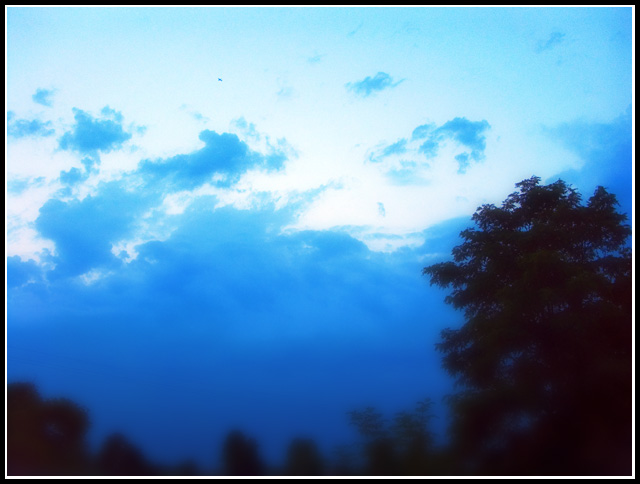 celo-&-alberi.jpg