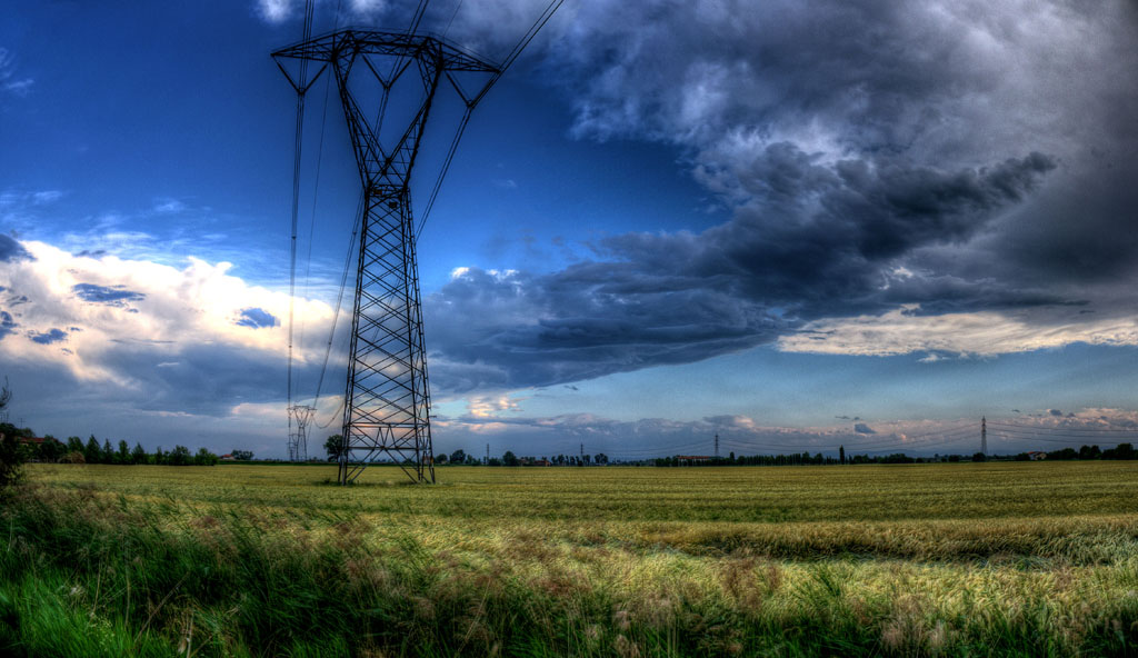 Che ne sai tu di un campo di grano.jpg