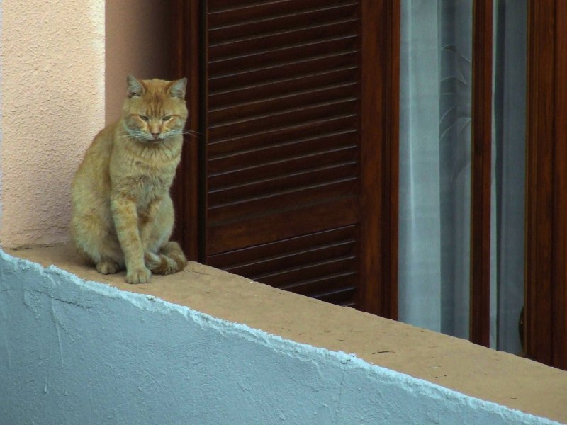 Che sonno.jpg