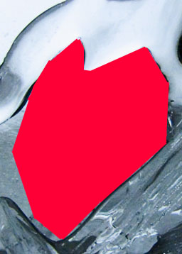 checosavedo.JPG