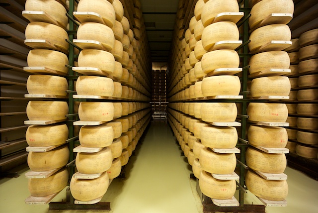 Cheese 3.jpg