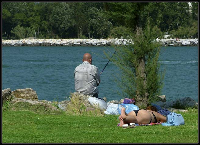 Chi Dorme Non Prende Pesci.jpg