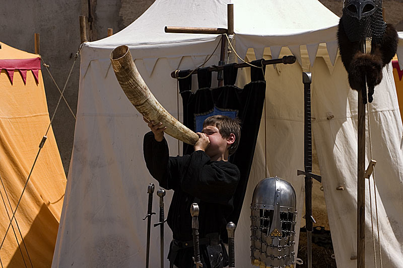 Chiamata alle Armi_Reportage.jpg