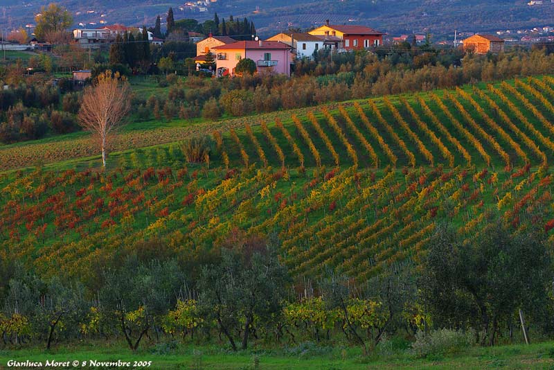 Chianti-1-File-Originale.jpg