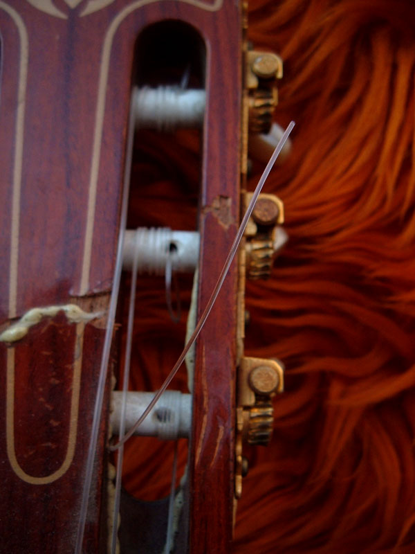 chitarra-mod.jpg