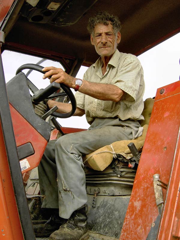 Ciccillo-II.jpg