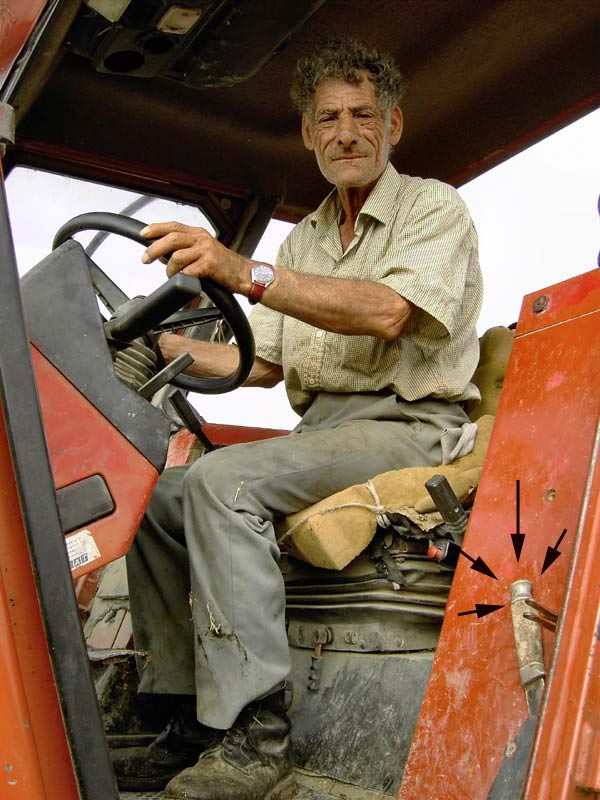 ciccillo-ii.jpg