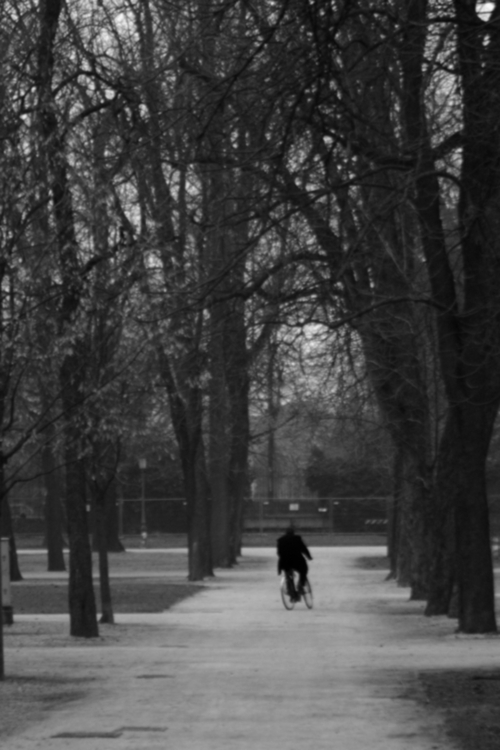 ciclista.jpg