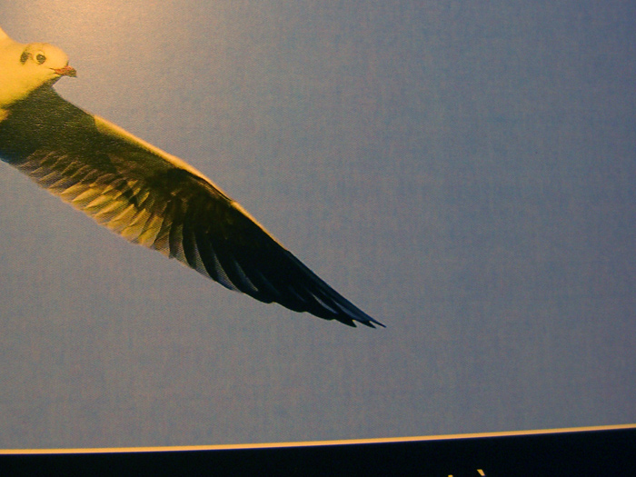 cielo-pixellato-incartha-pr.jpg