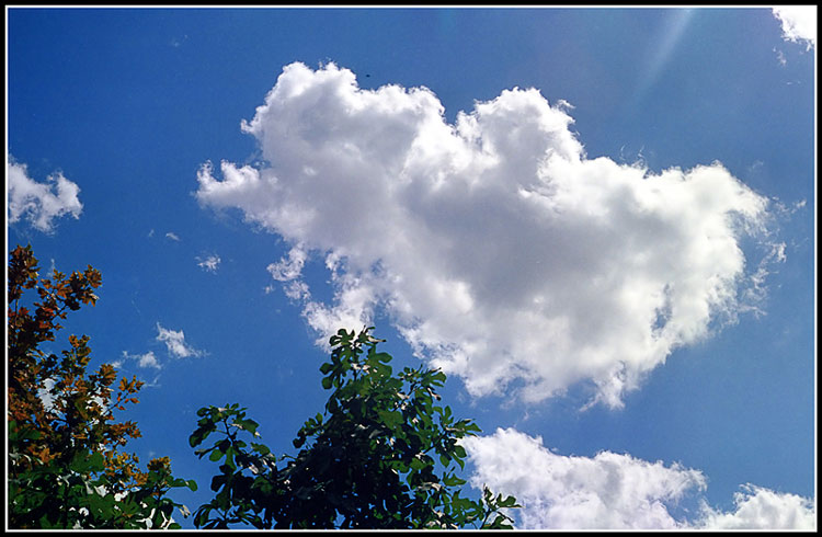 Cielo.jpg