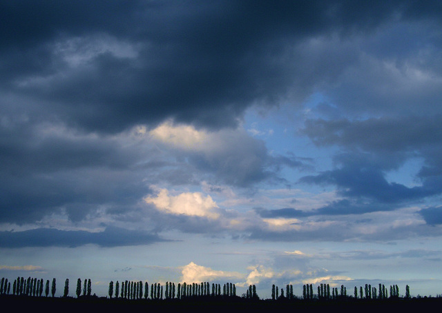 CIELO E PIOPPI.jpg
