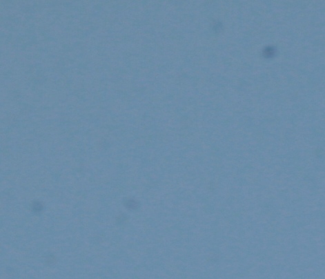 cielo_F22_crop2.jpg