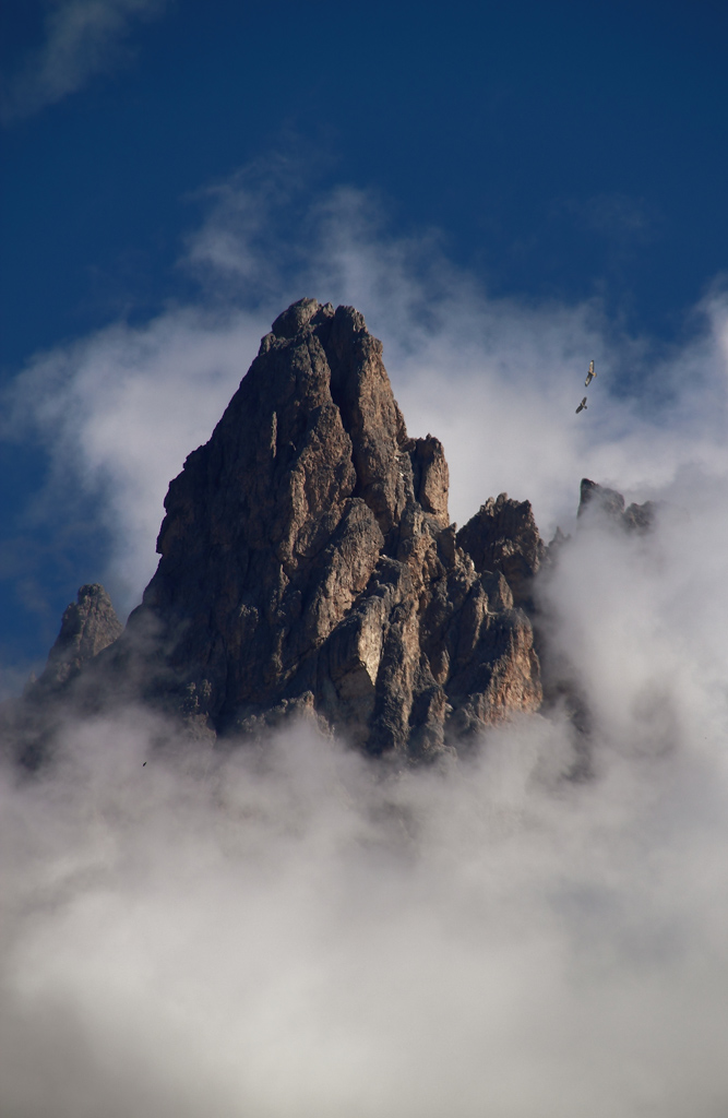 Cima con-aquile.jpg