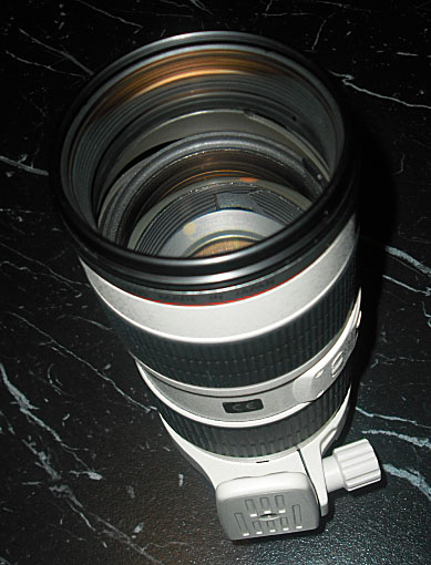 CIMG0383.JPG