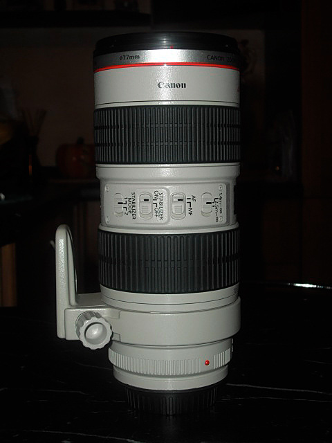 CIMG0385.JPG
