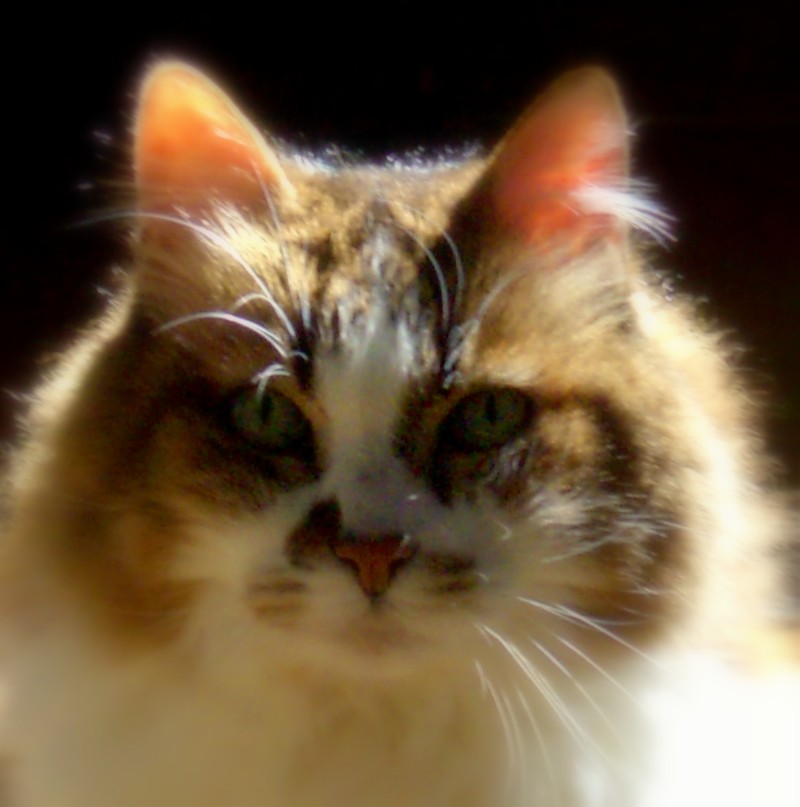 CIMG0460.JPG