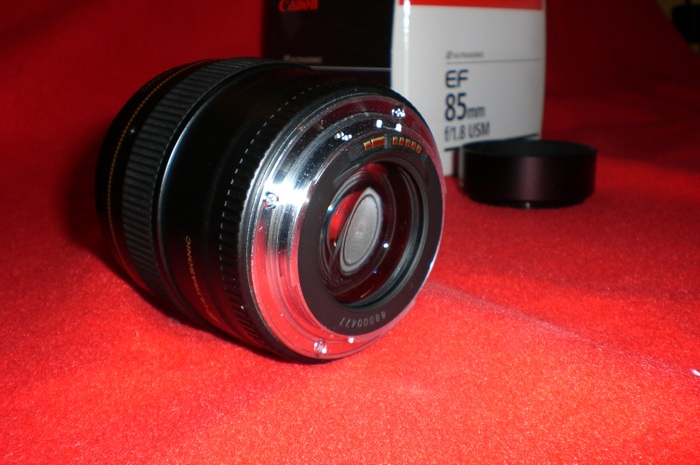 CIMG0495.JPG