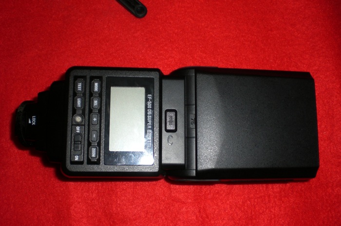 CIMG0497.JPG